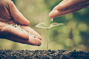 Impact investing: much more than just sustainability